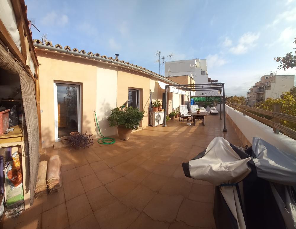  kaufen Penthouse Aragón-Pere Garau-Católicos Palma 10