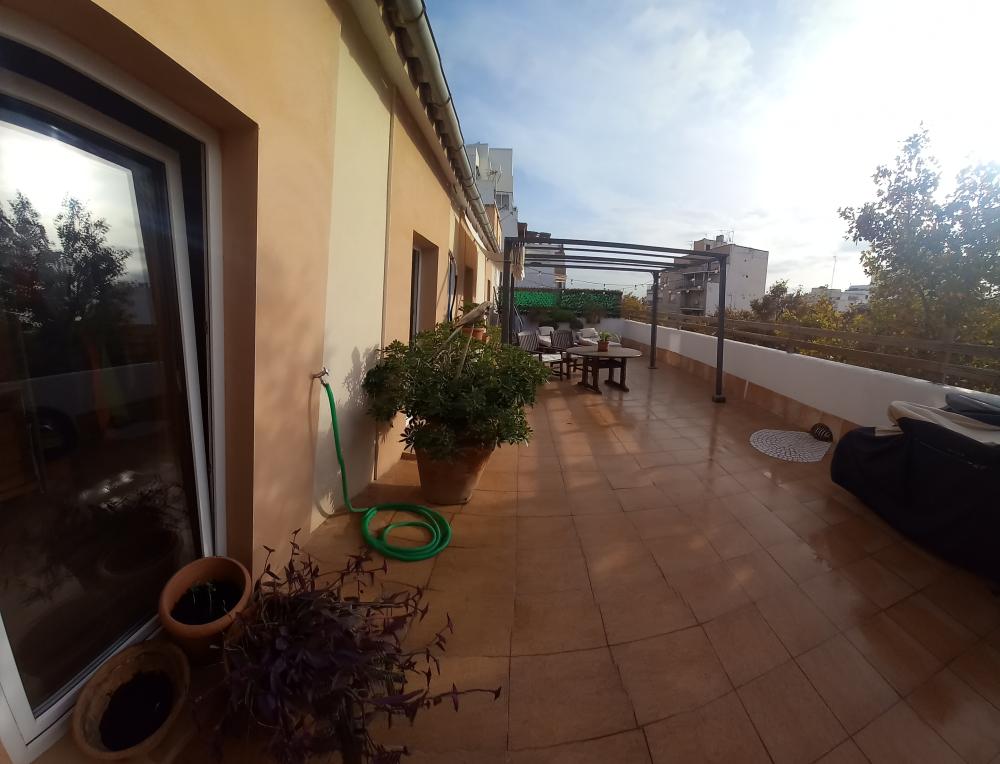  kaufen Penthouse Aragón-Pere Garau-Católicos Palma 11