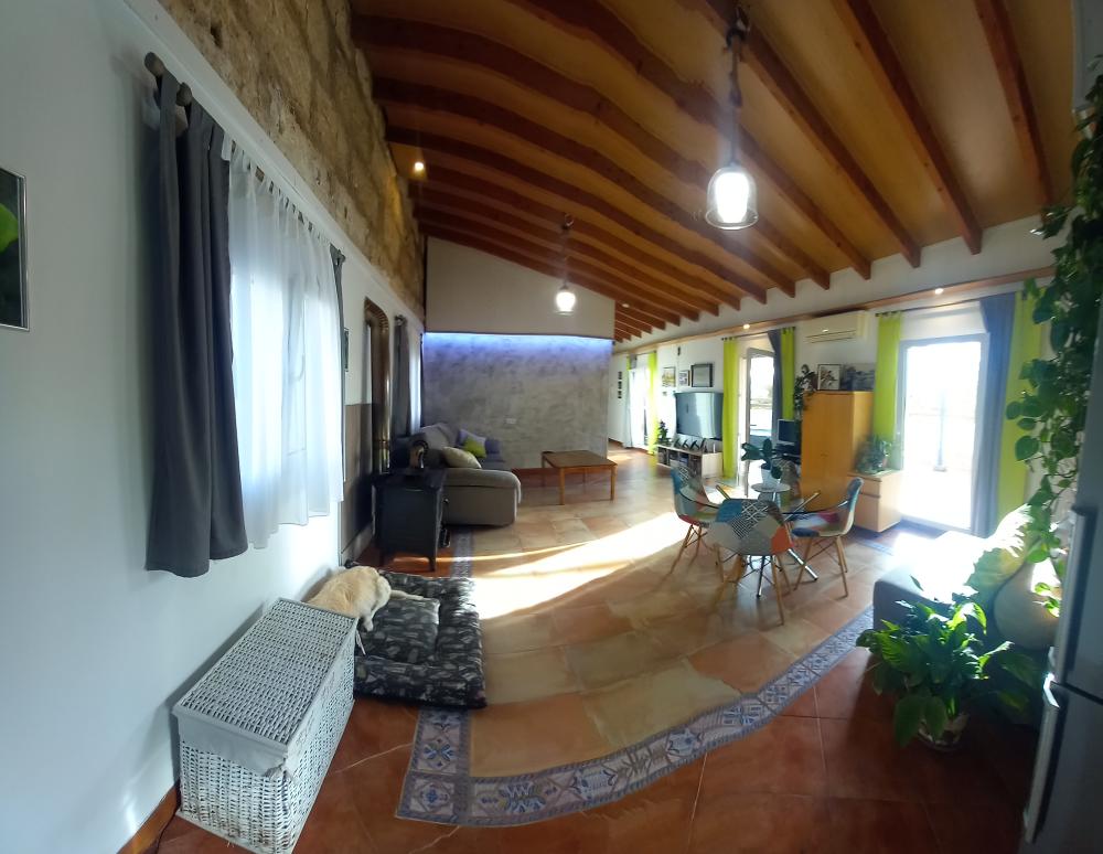  kaufen Penthouse Aragón-Pere Garau-Católicos Palma 14