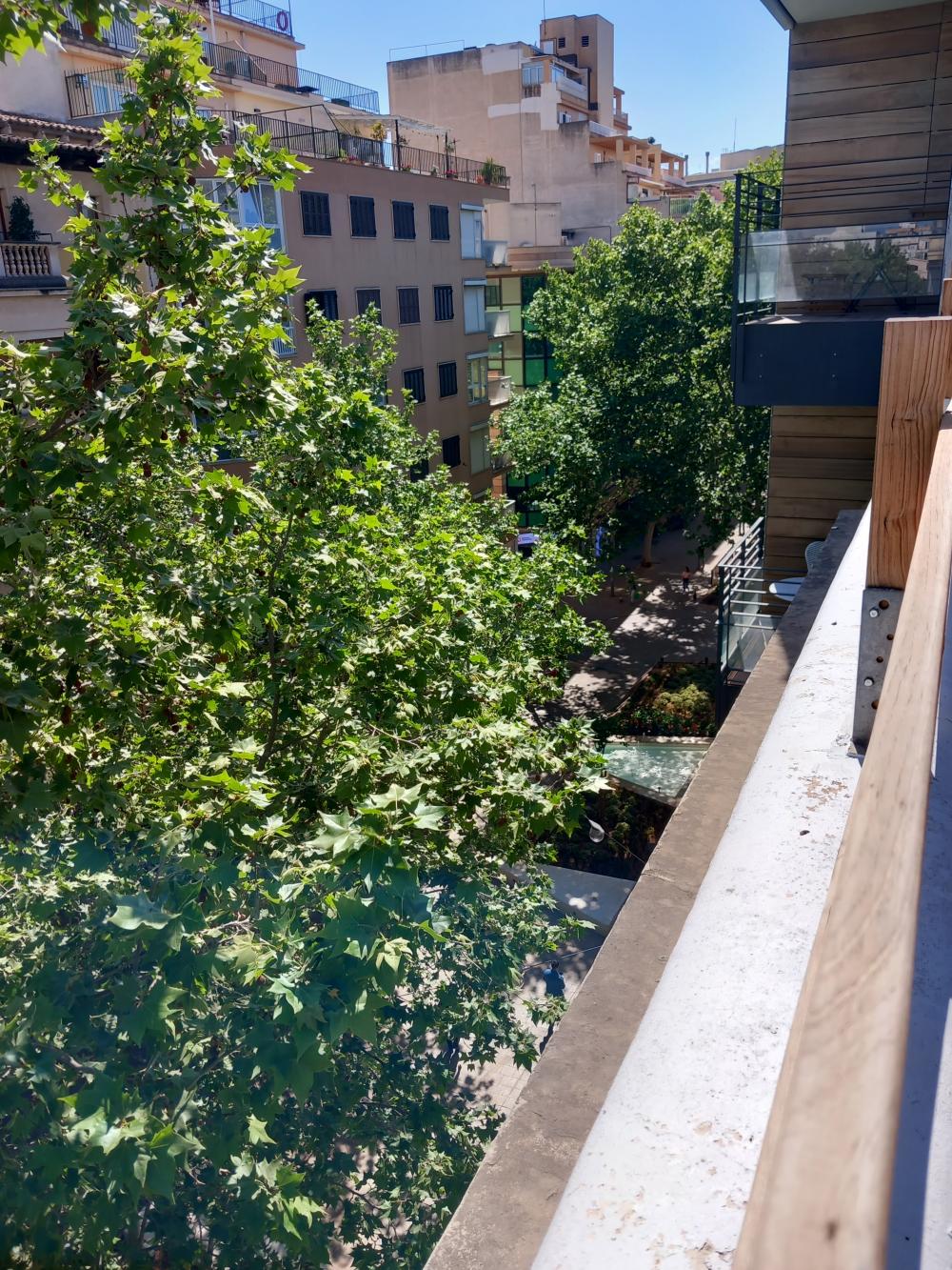  kaufen Penthouse Aragón-Pere Garau-Católicos Palma 3