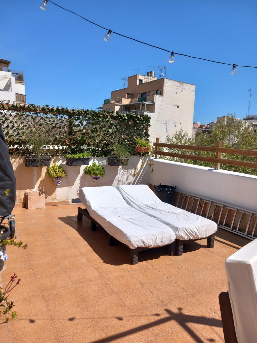  kaufen Penthouse Aragón-Pere Garau-Católicos Palma 4