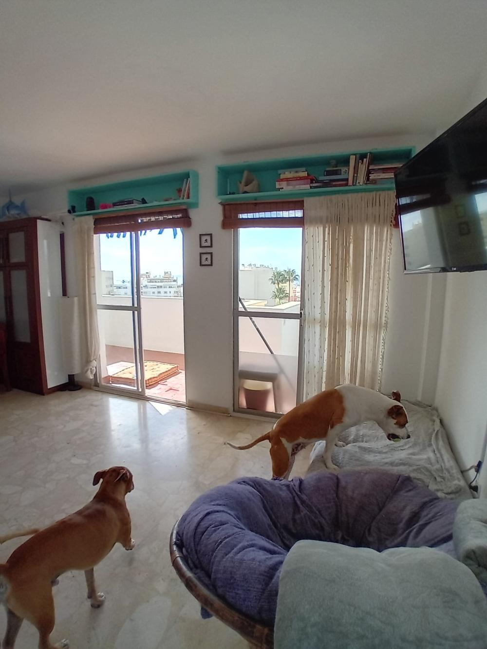  kaufen Wohnung Marbella Costa Del Sol Occidental 8