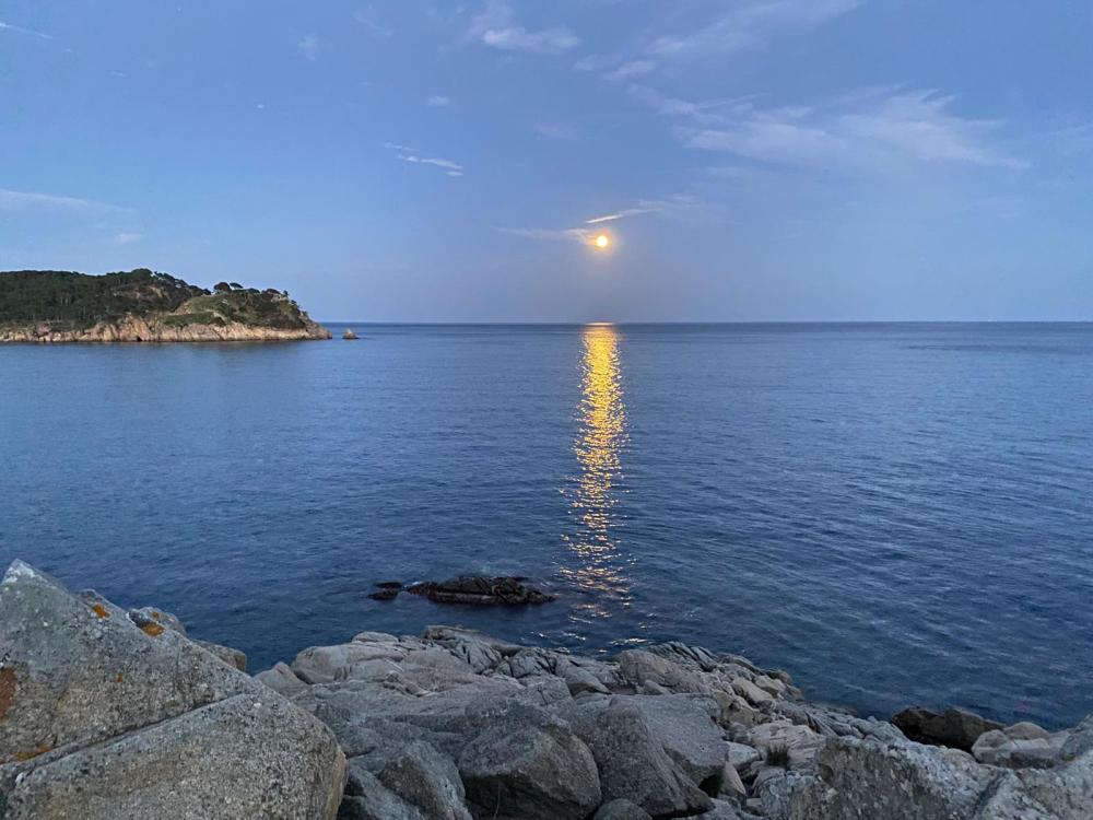 kaufen Wohnung Cala Margarida Baix Empordà 17