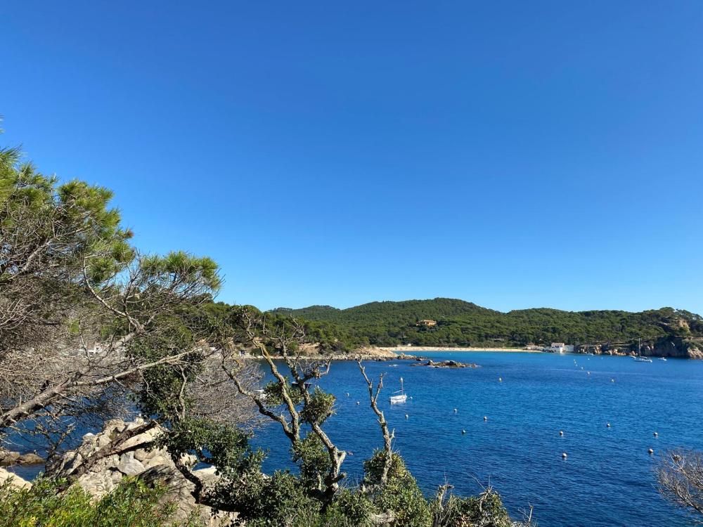  kaufen Wohnung Cala Margarida Baix Empordà 18