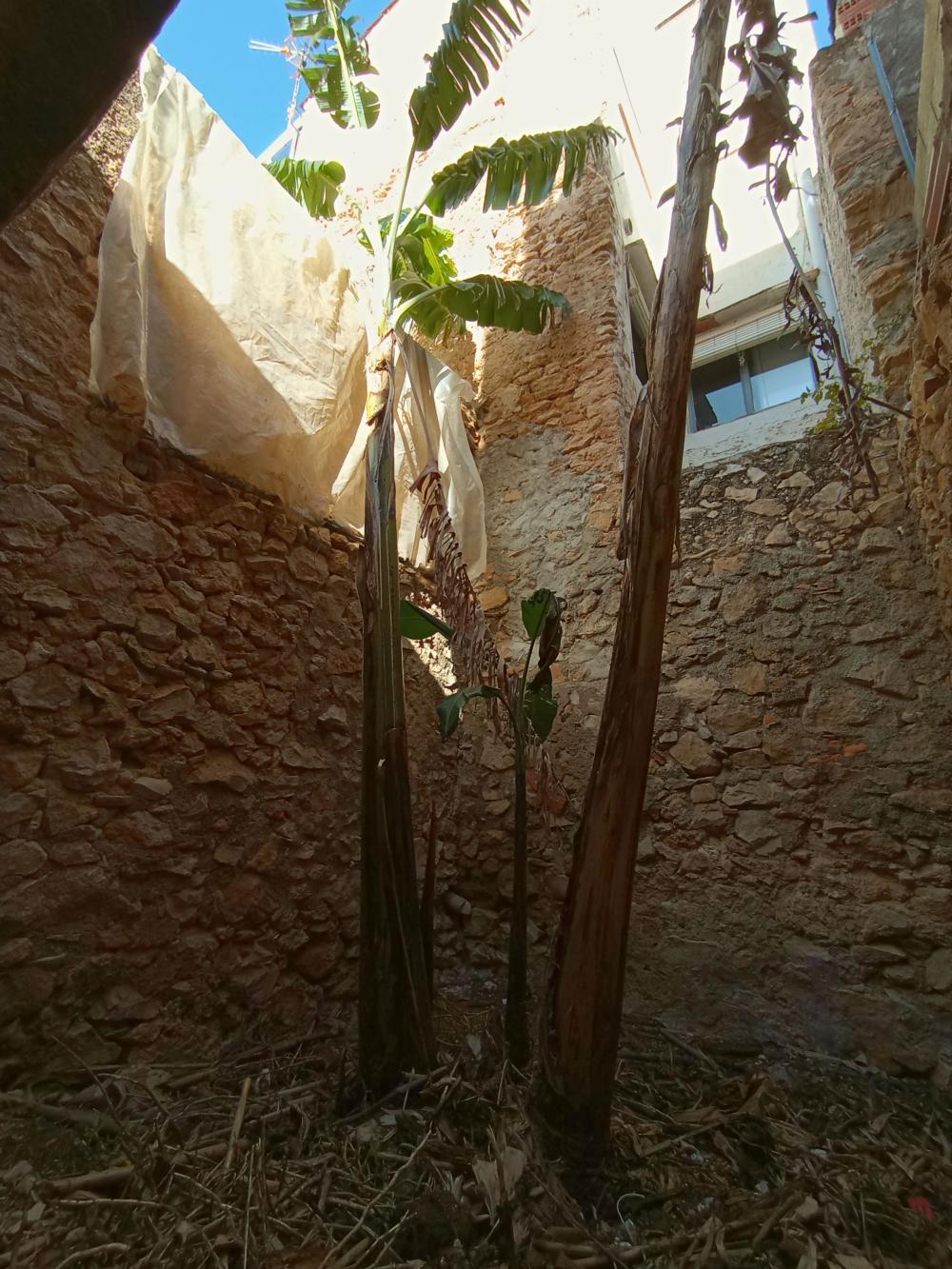  kaufen Haus Alcanar Montsià 7