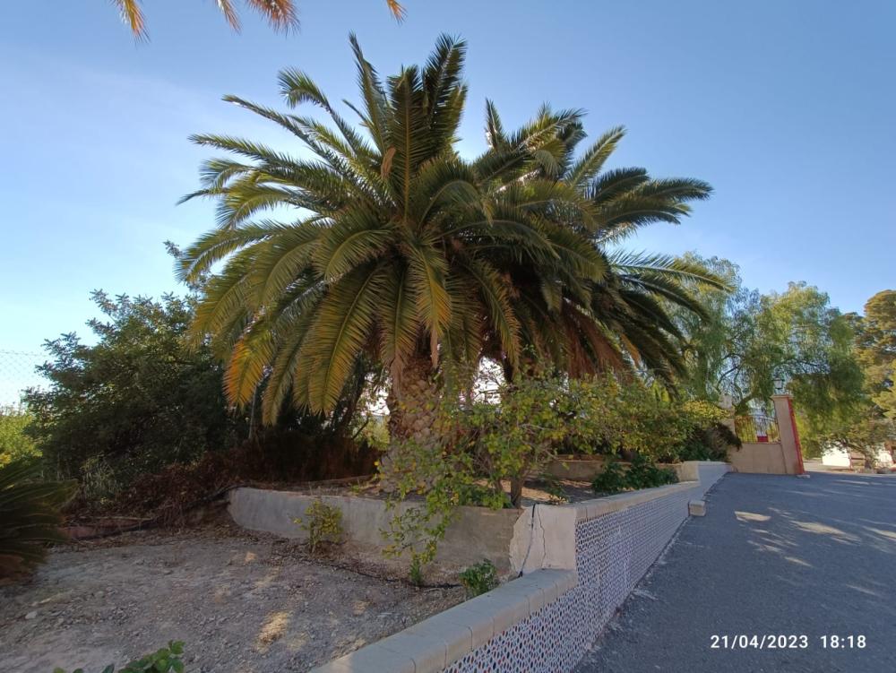  kaufen Villa Jijona Alacantí 38