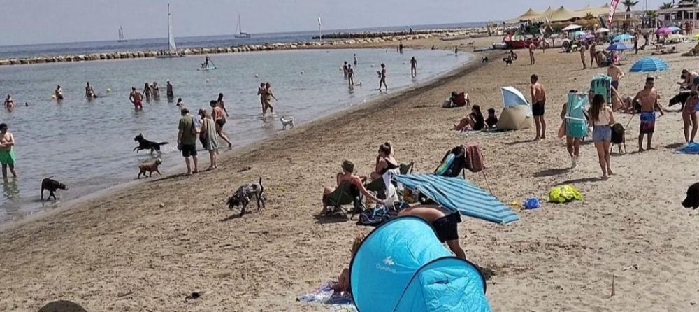  kaufen Erdgeschoss Dénia Marina Alta 21