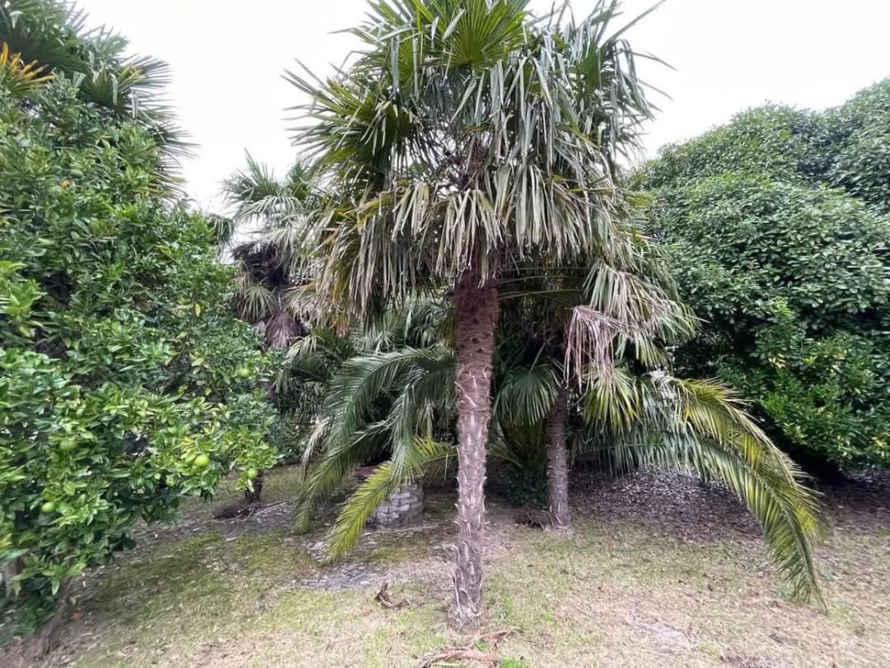  kaufen Haus A Lama Pontevedra 30