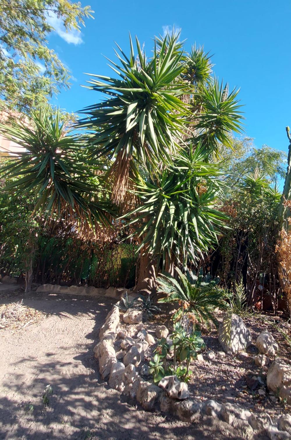  kaufen Doppelhaushälfte Sant Joan D'alacant Alacantí 9