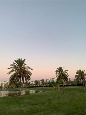 Playa Granada Costa Tropical Wohnung Bild 6160757