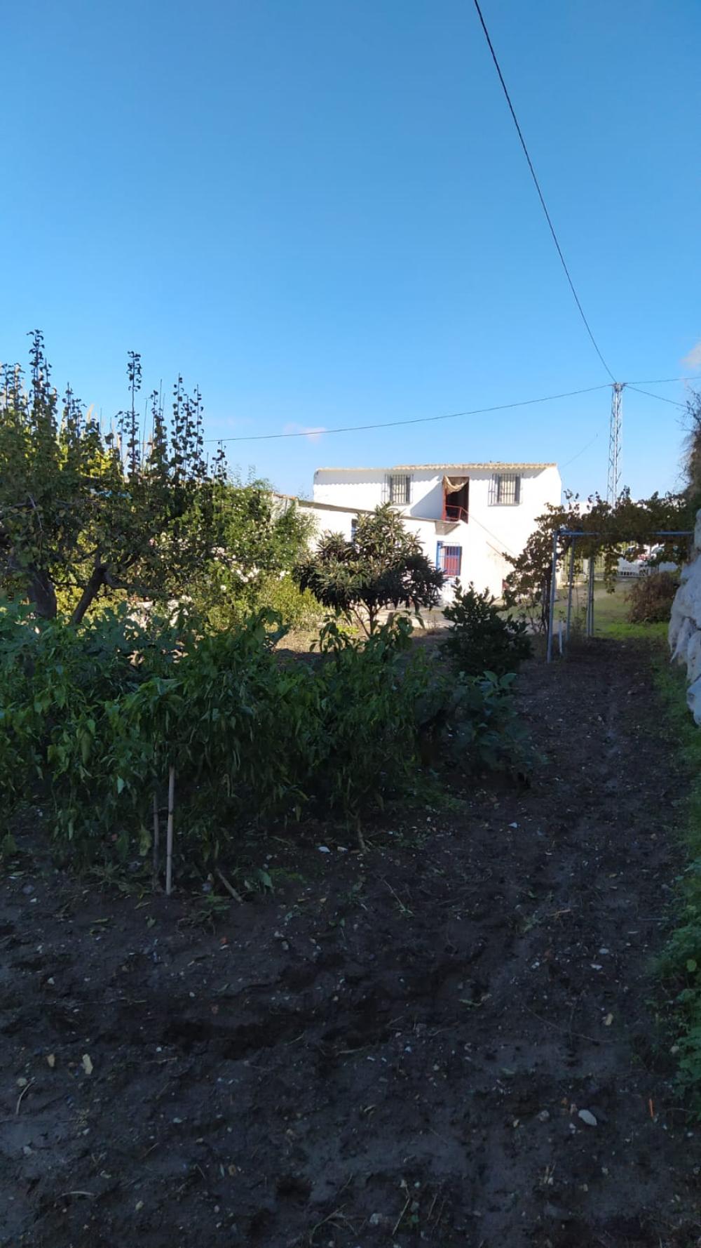  kaufen Landhaus Coín Valle Del Guadalhorce 6