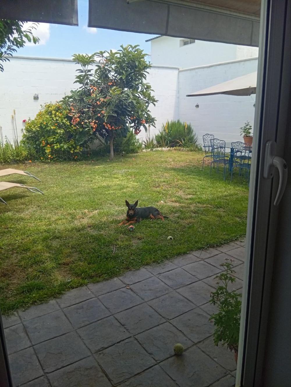 kaufen Villa Bollullos De La Mitación Aljarafe 2
