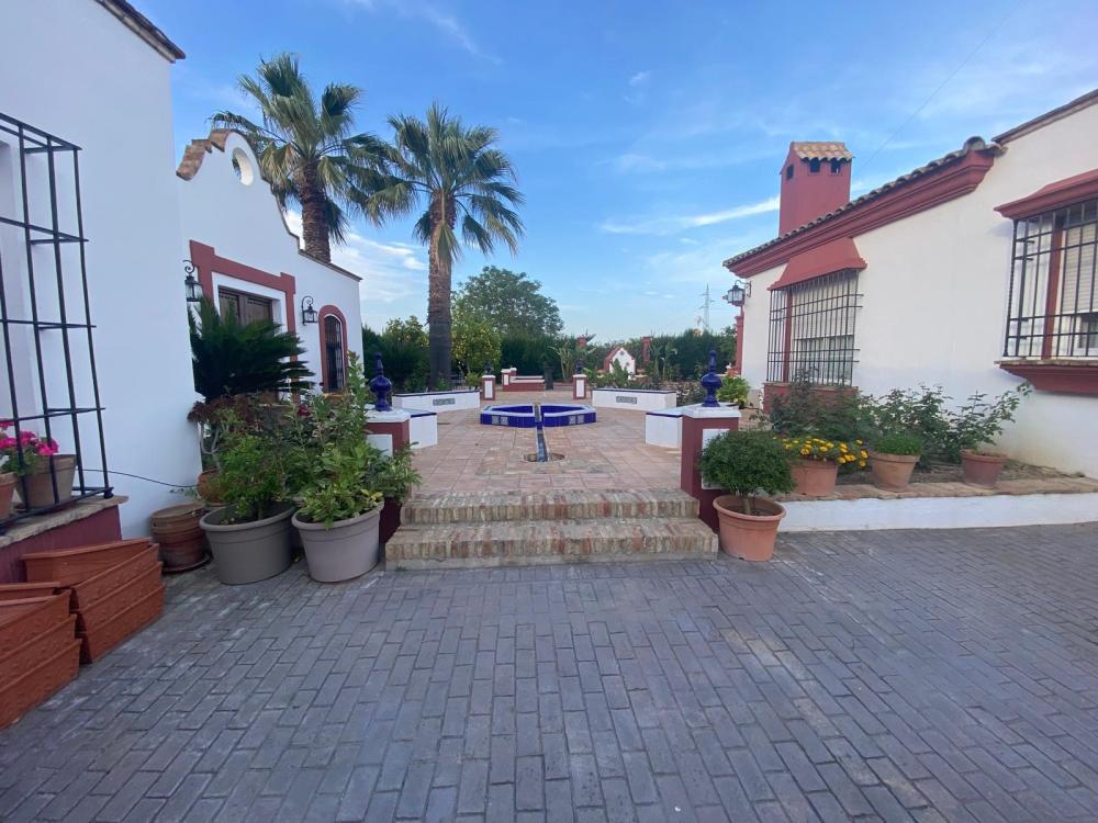  kaufen Villa Palma Del Rio Valle Medio Del Guadalquivir 4
