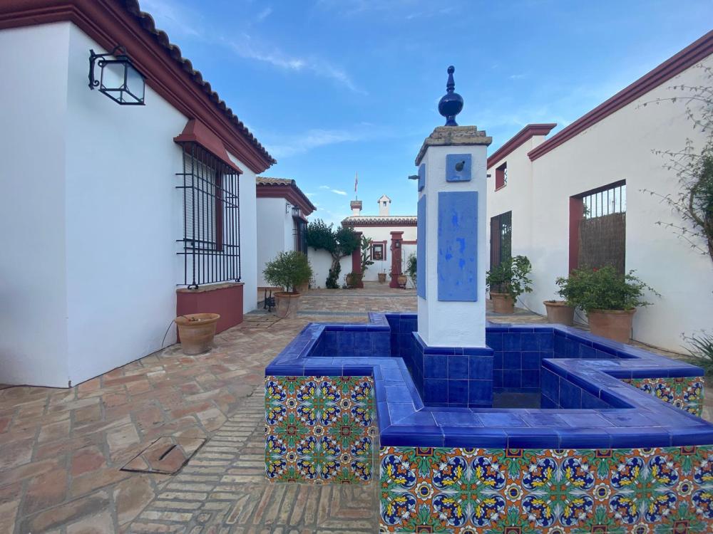  kaufen Villa Palma Del Rio Valle Medio Del Guadalquivir 13