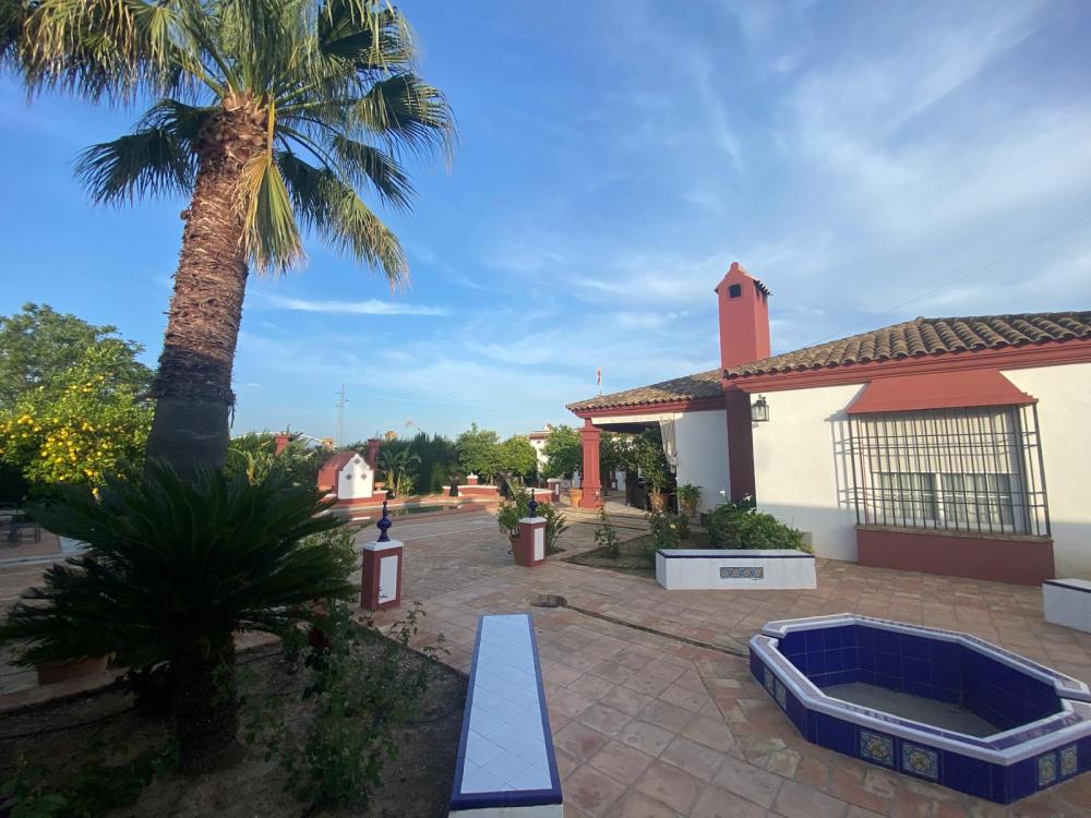 kaufen Villa Palma Del Rio Valle Medio Del Guadalquivir 3