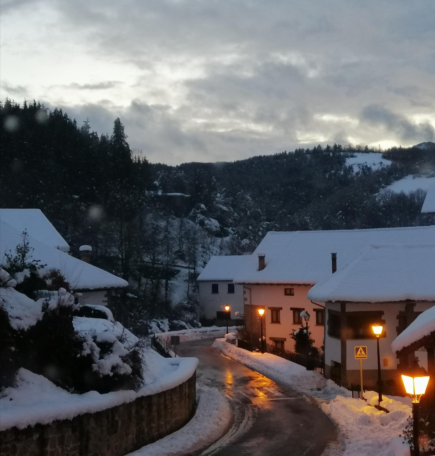  kaufen Reihenhaus Jaurrieta Pirineo 9