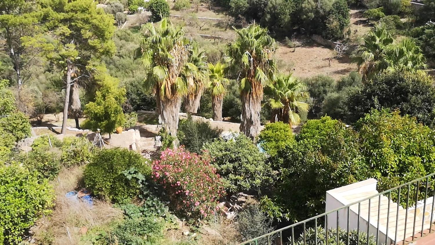  kaufen Haus Campanet Raiguer 15