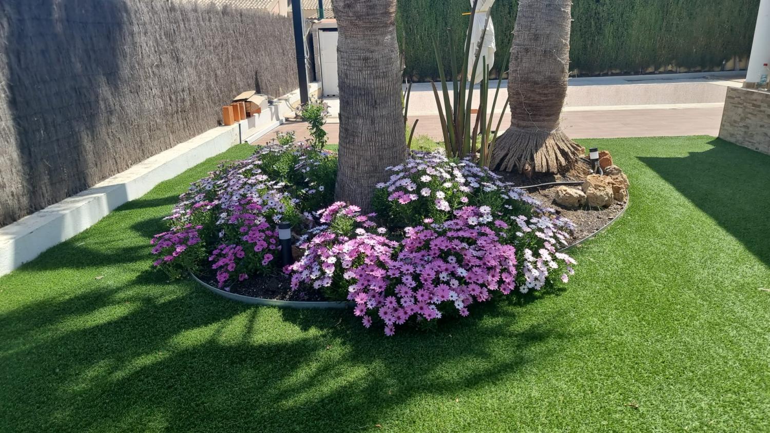  kaufen Haus Calasparra Noroeste 22