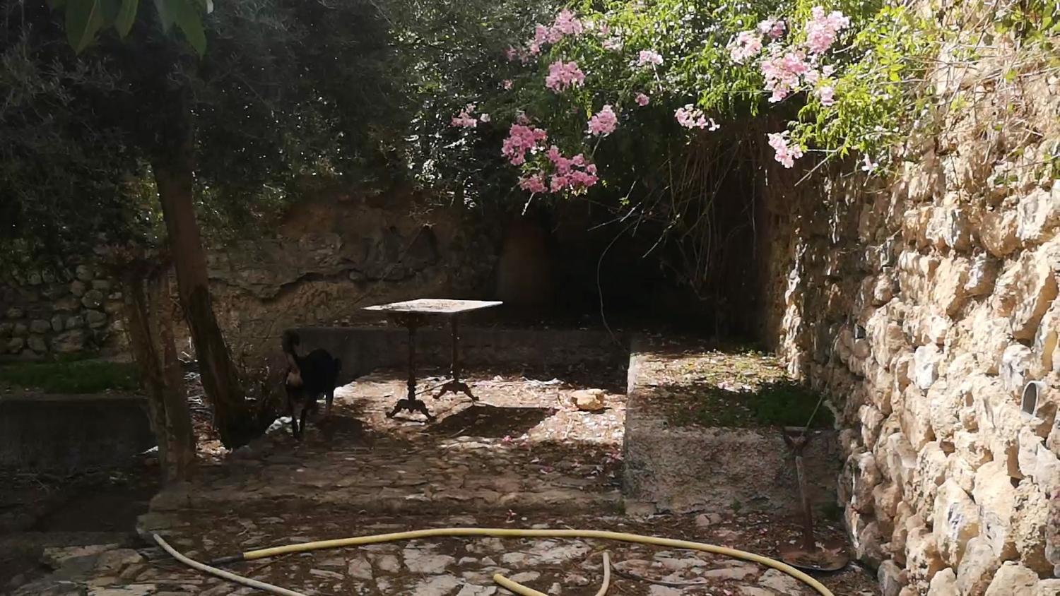  kaufen Haus Campanet Raiguer 34