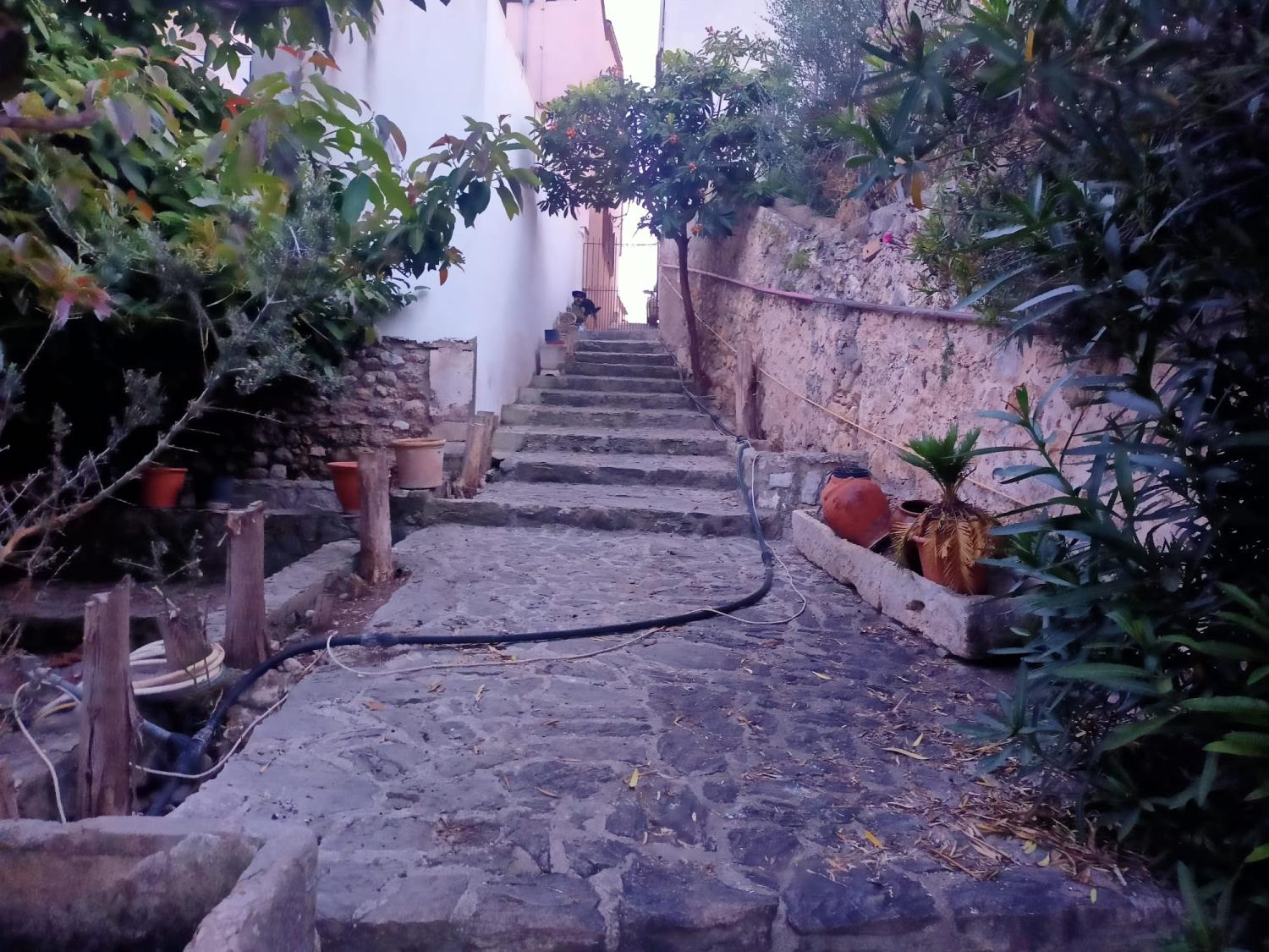  kaufen Haus Campanet Raiguer 17