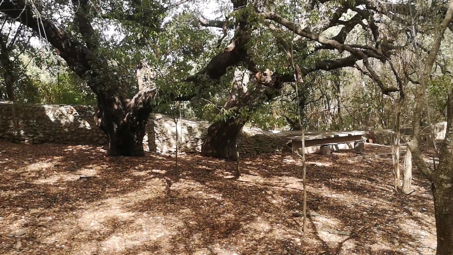  kaufen Haus Campanet Raiguer 44