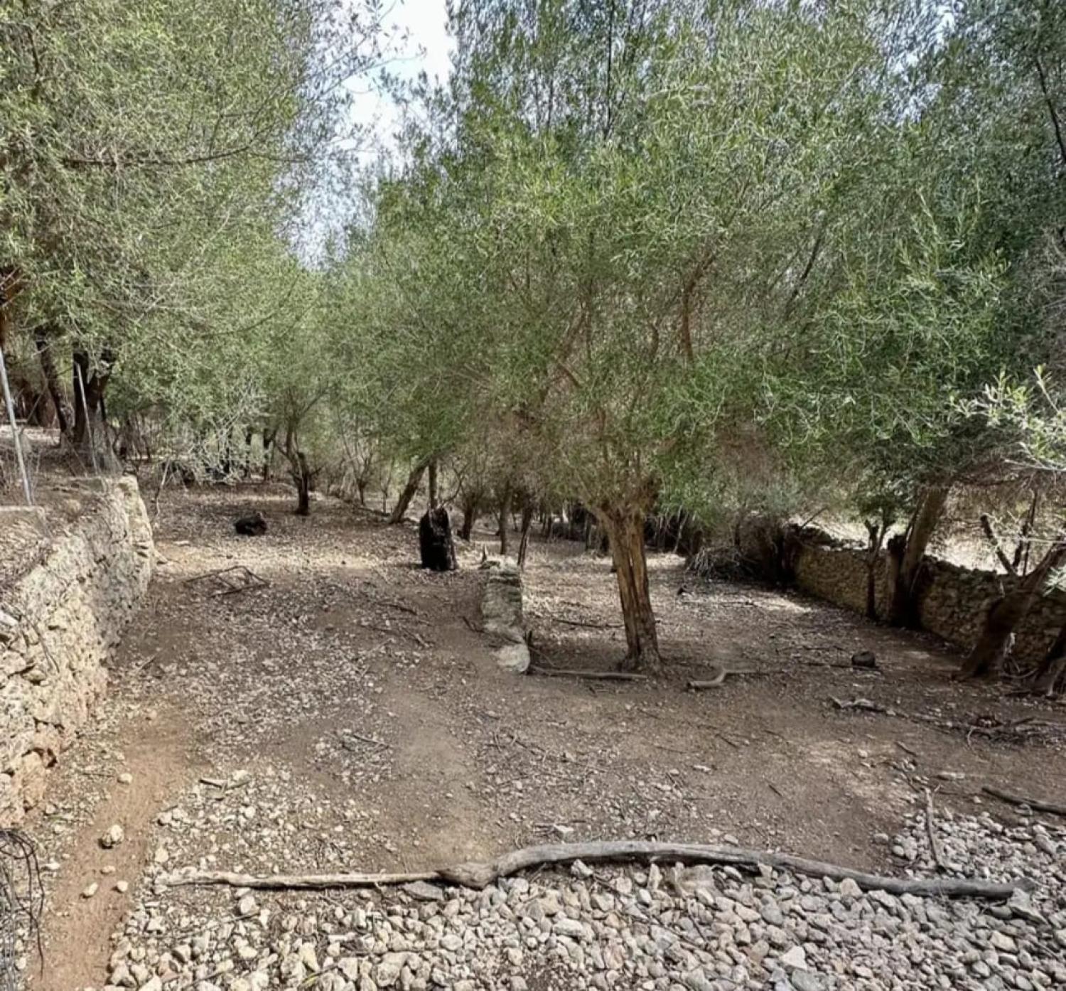  kaufen Haus Campanet Raiguer 41