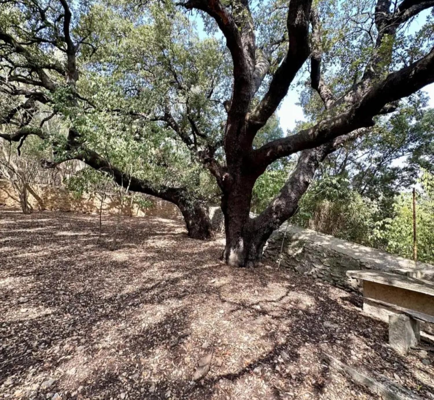  kaufen Haus Campanet Raiguer 43