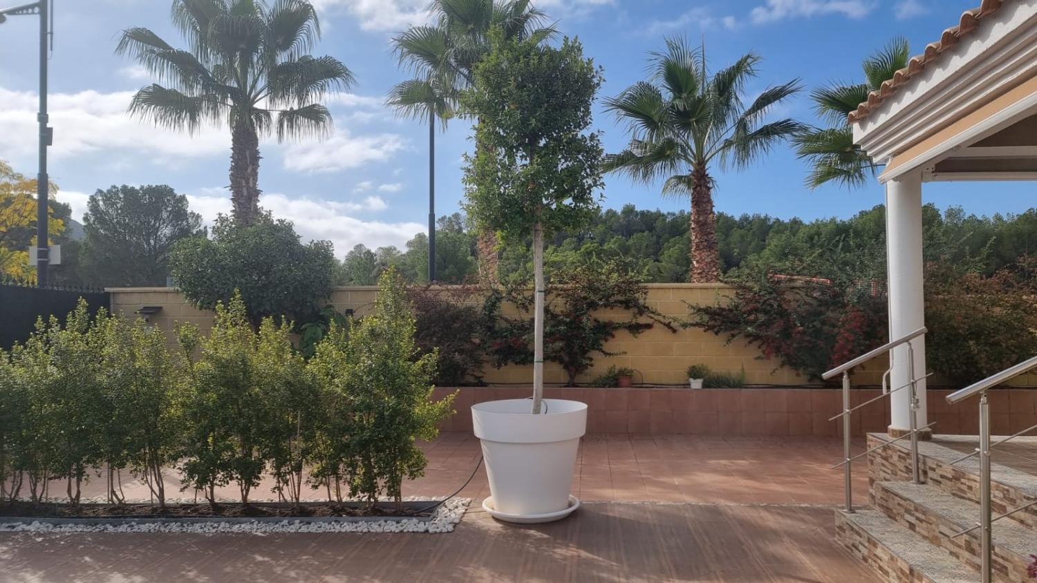 kaufen Haus Calasparra Noroeste 5