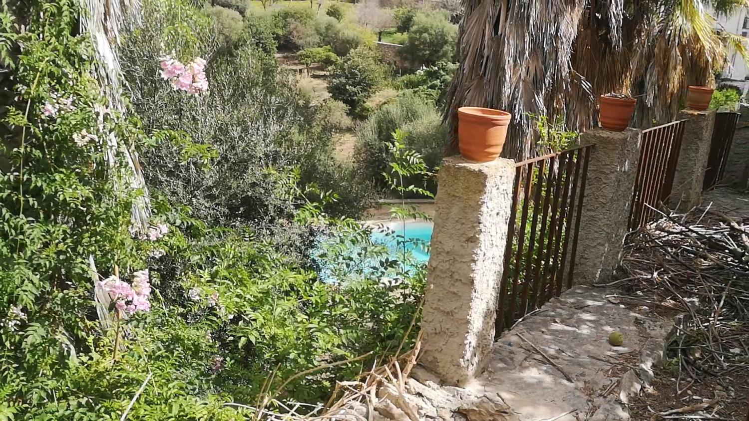  kaufen Haus Campanet Raiguer 20