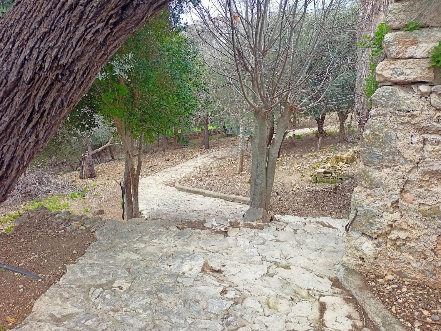  kaufen Haus Campanet Raiguer 38