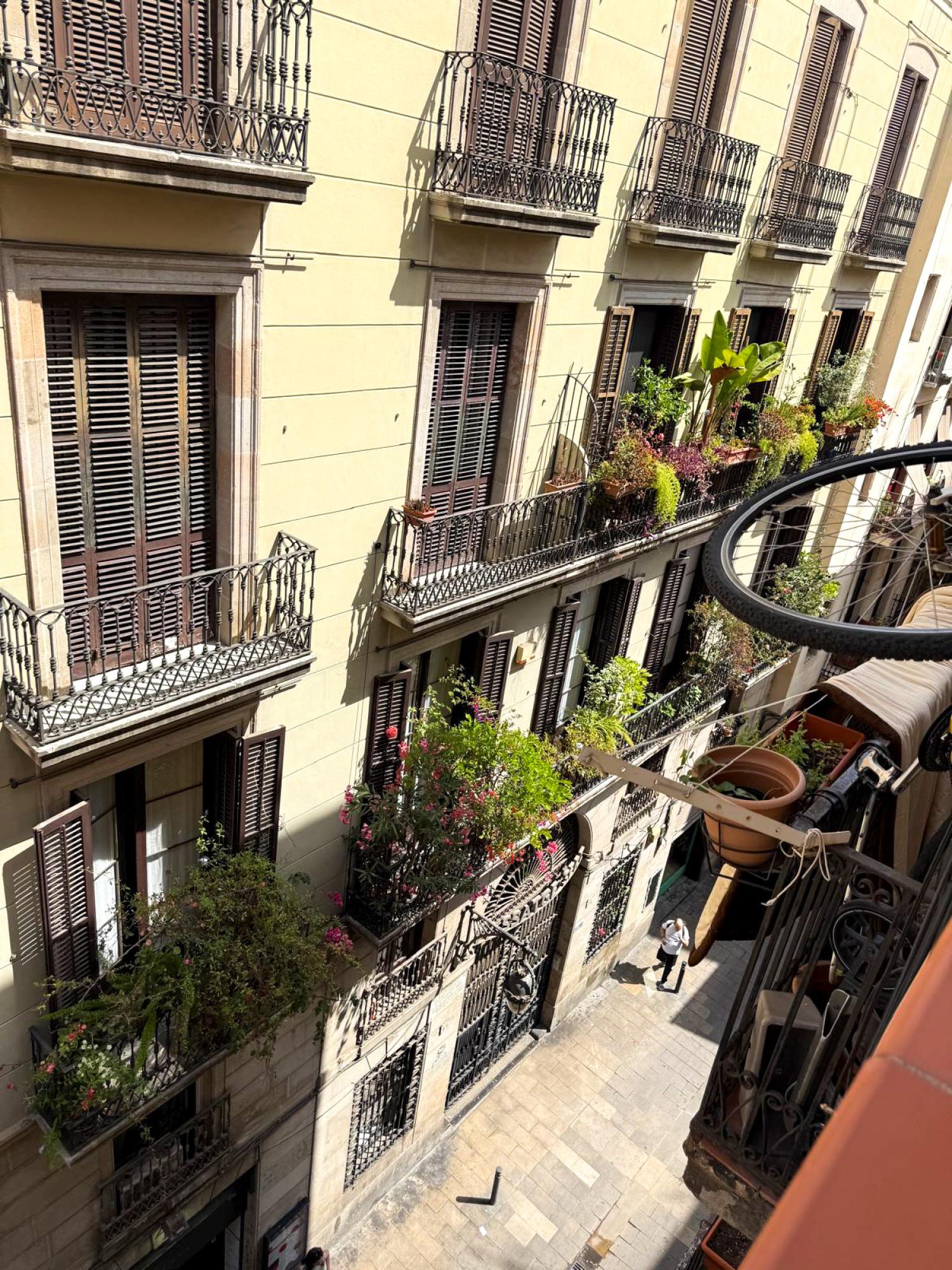  kaufen Wohnung Ciutat Vella-Sant Pere-Santa Caterina-El Born Barcelonès 19