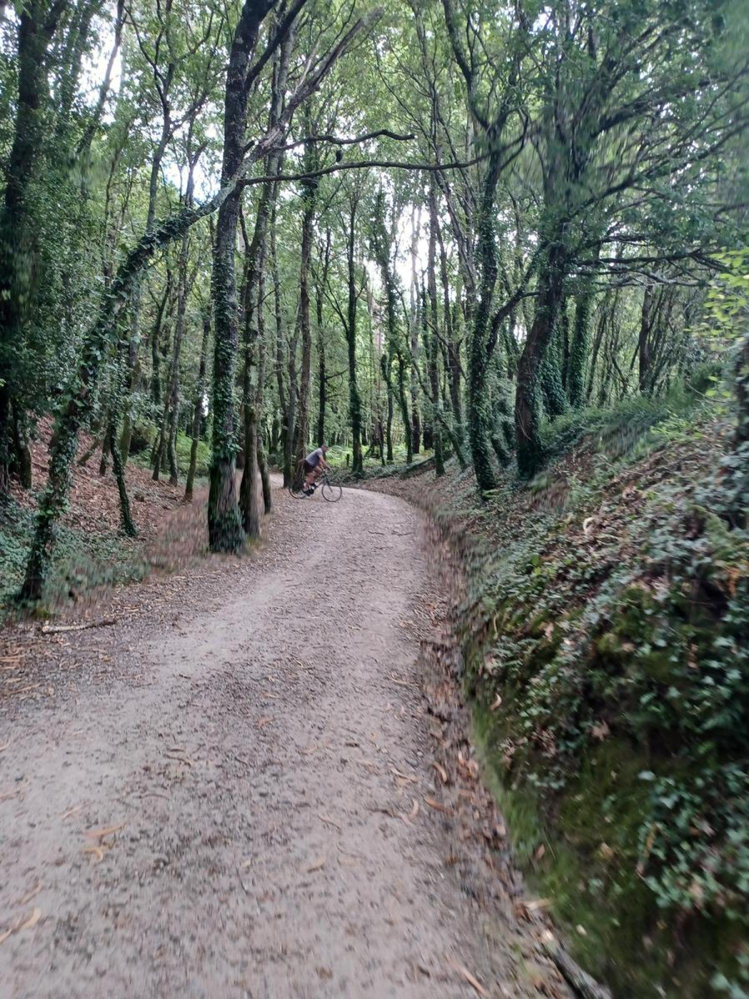  kaufen Grundstück Raíces Santiago 9