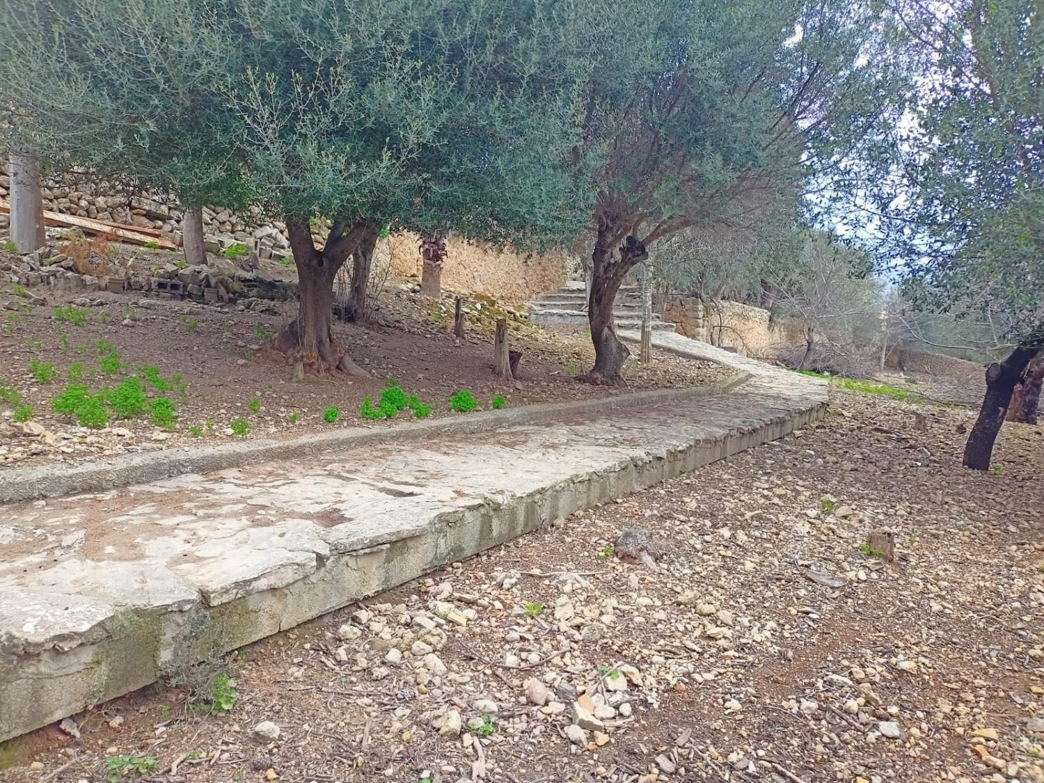  kaufen Haus Campanet Raiguer 39