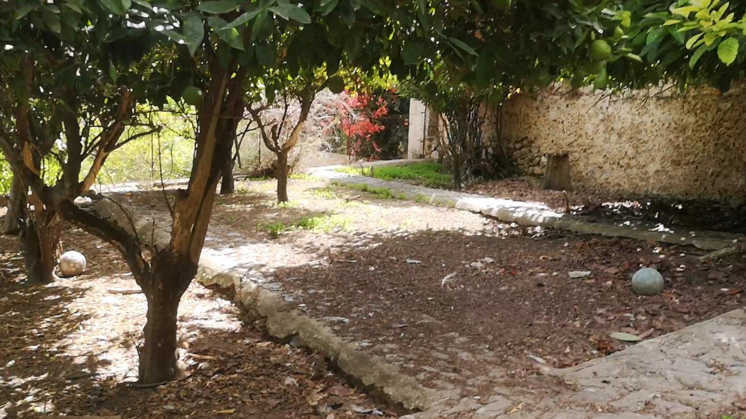  kaufen Haus Campanet Raiguer 16