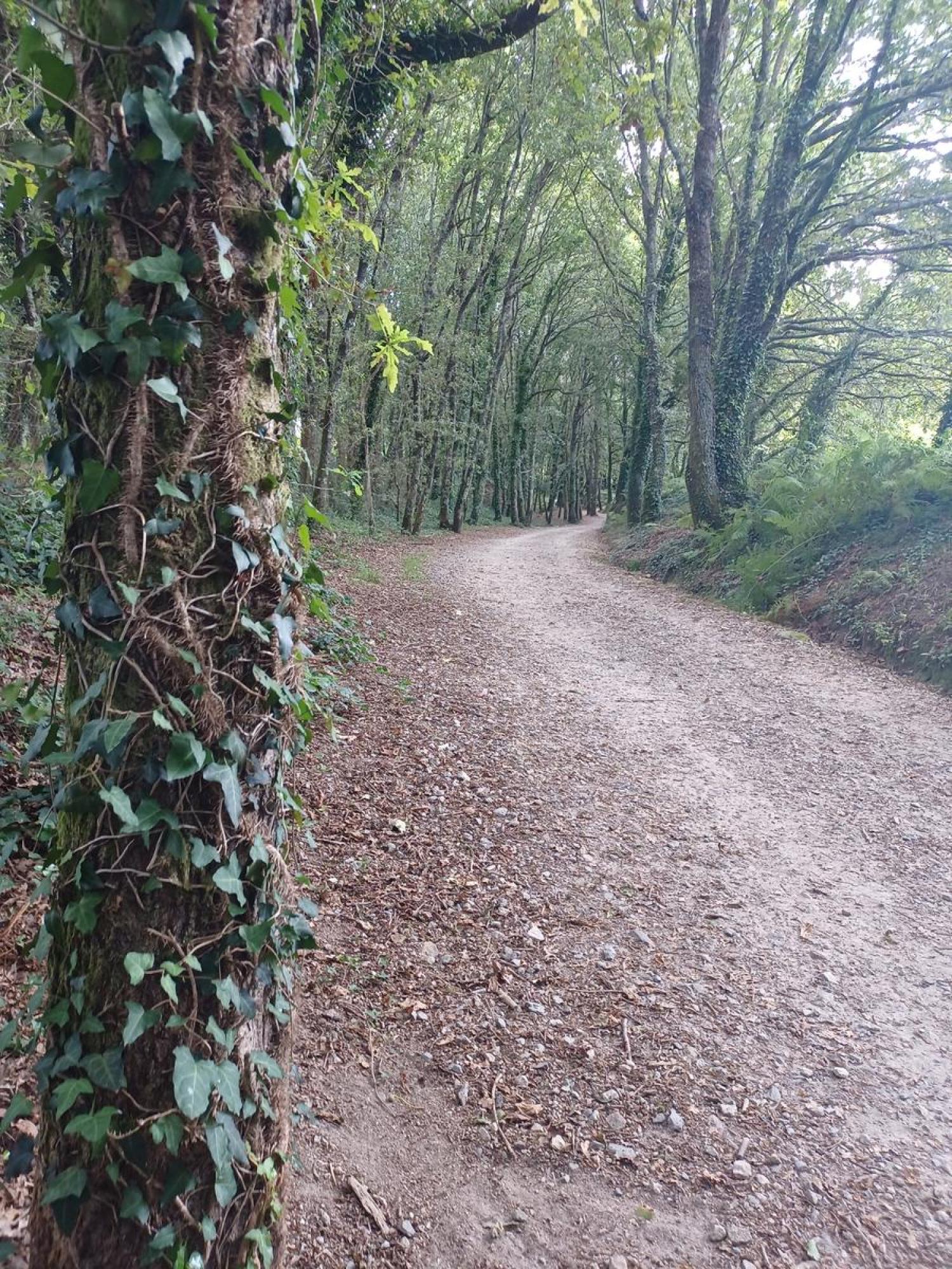  kaufen Grundstück Raíces Santiago 11