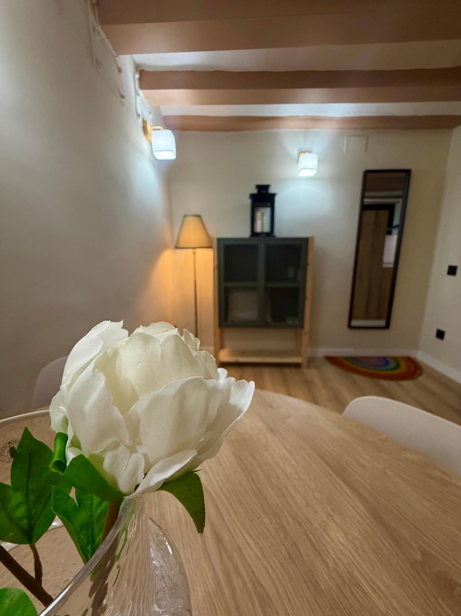 kaufen Wohnung Ciutat Vella-Sant Pere-Santa Caterina-El Born Barcelonès 16