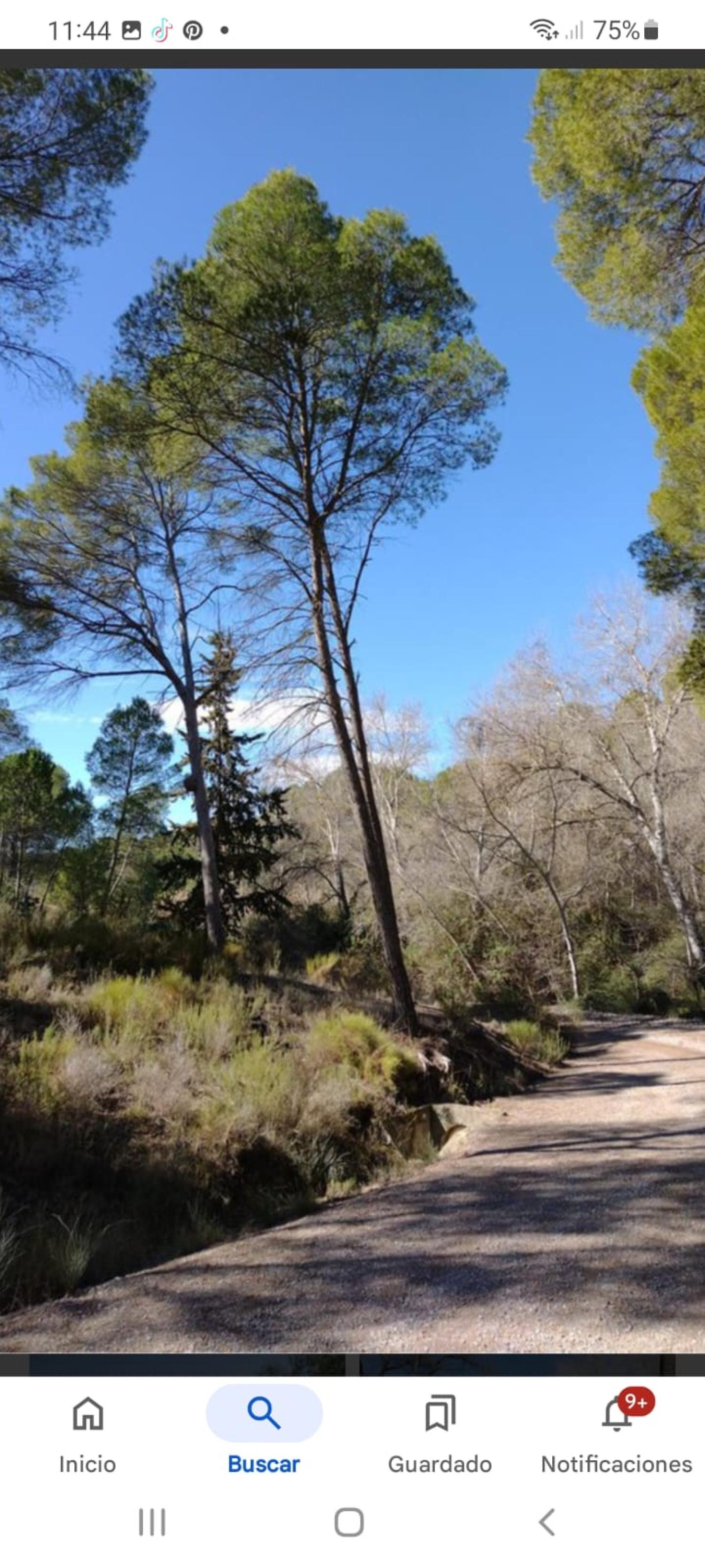  kaufen Haus Calasparra Noroeste 16