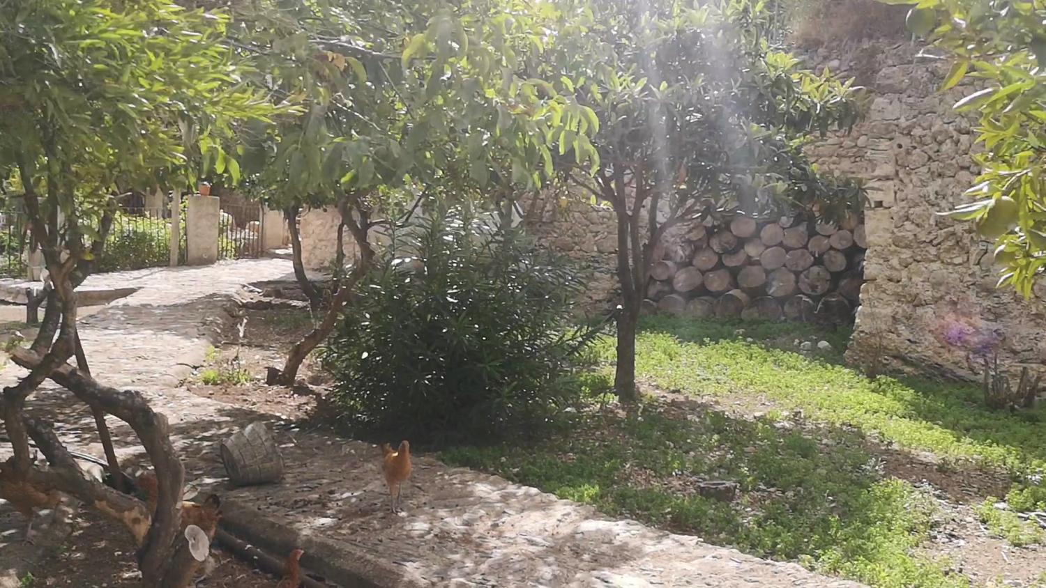  kaufen Haus Campanet Raiguer 19