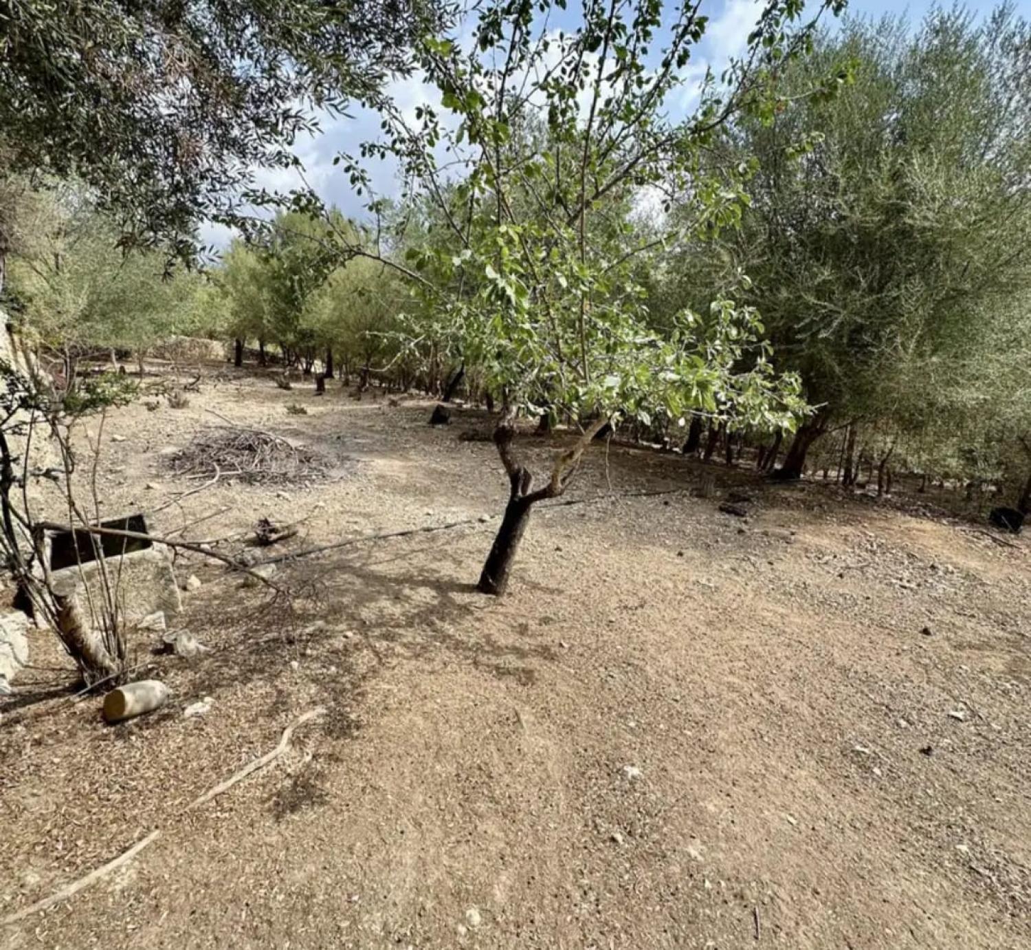  kaufen Haus Campanet Raiguer 42