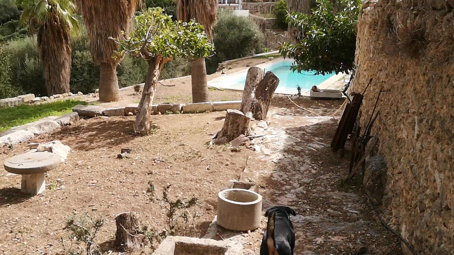  kaufen Haus Campanet Raiguer 25