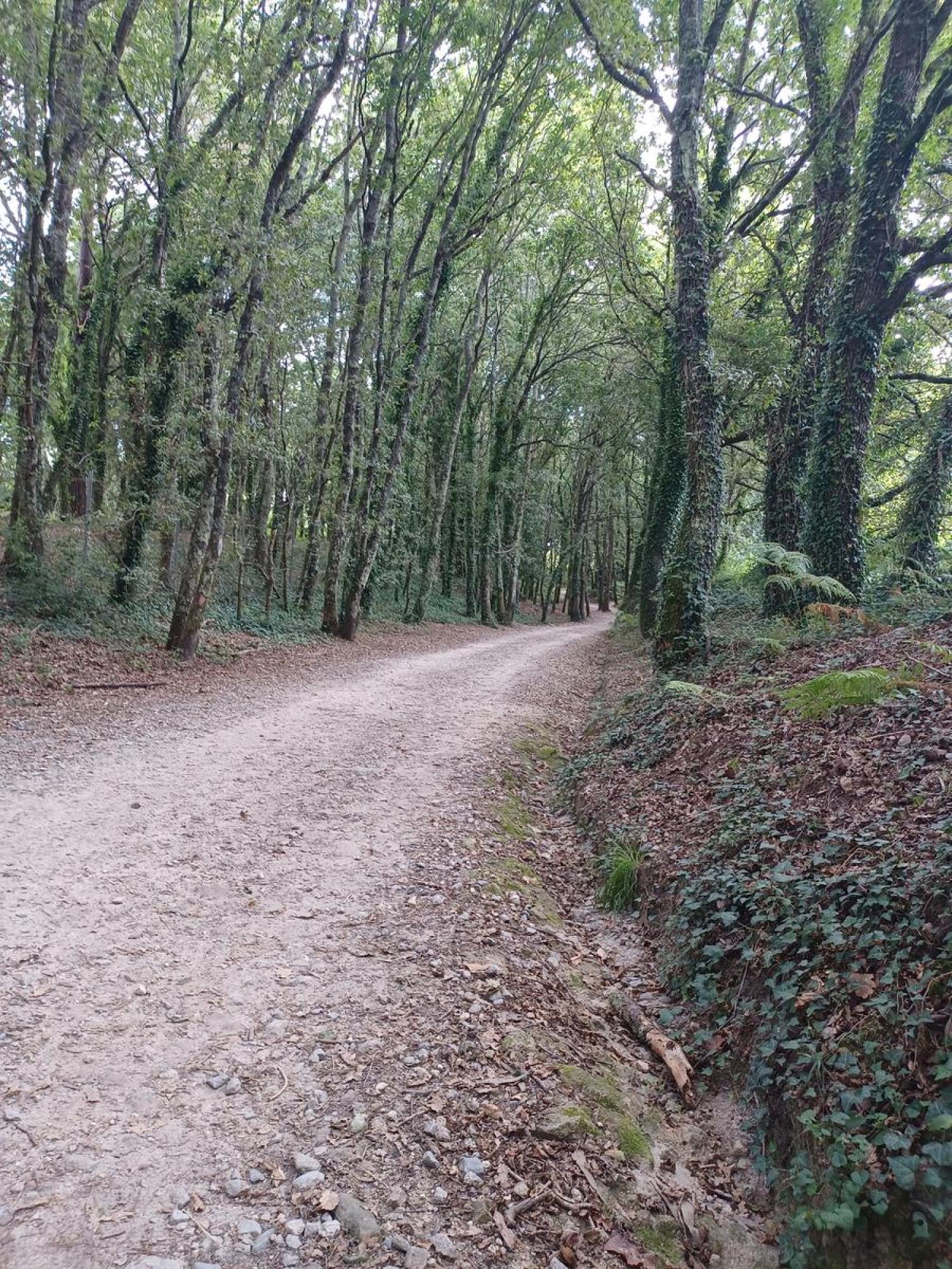  kaufen Grundstück Raíces Santiago 30