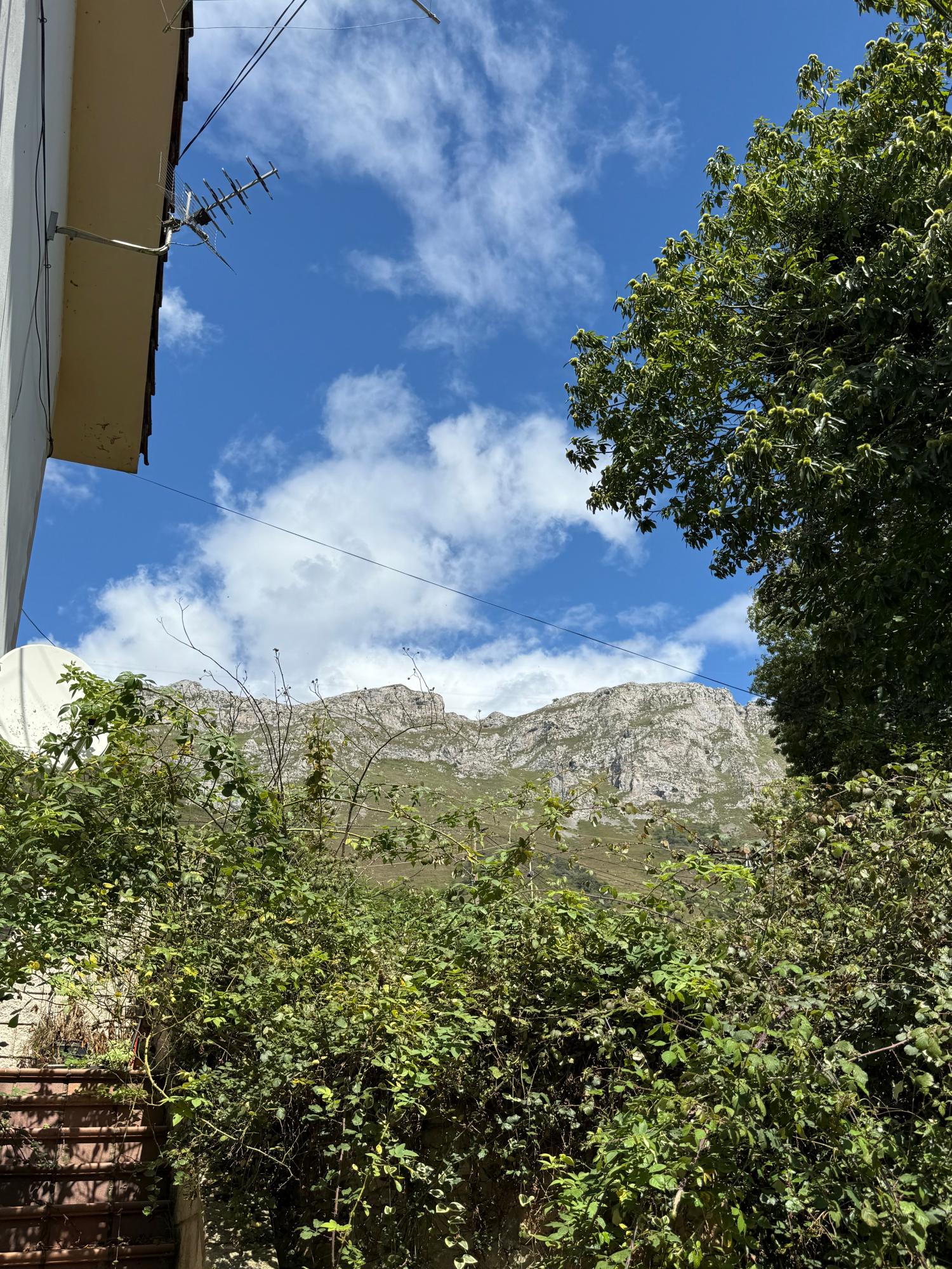  kaufen Reihenhaus Arangas Oriente 20