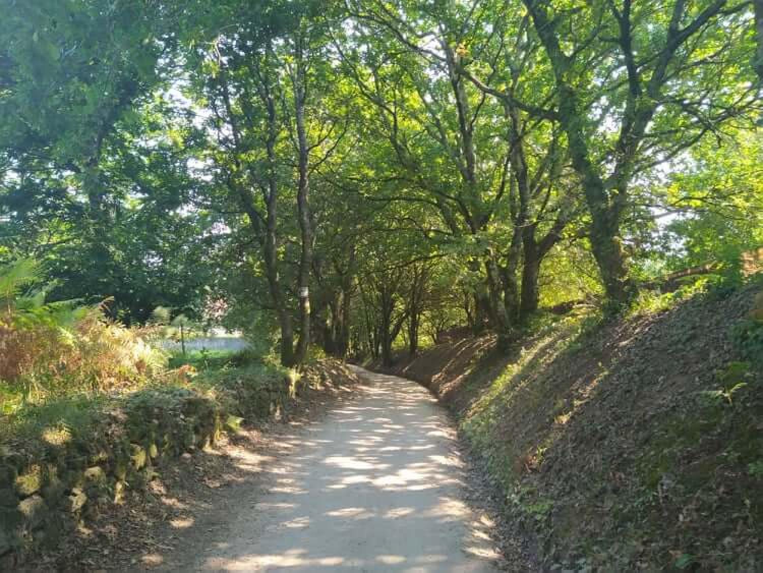  kaufen Grundstück Raíces Santiago 27