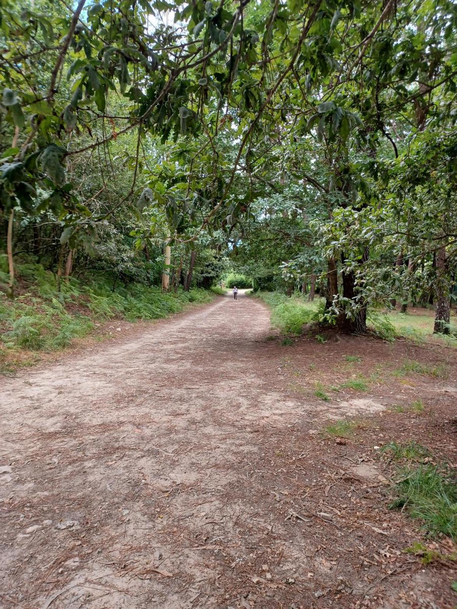  kaufen Grundstück Raíces Santiago 20