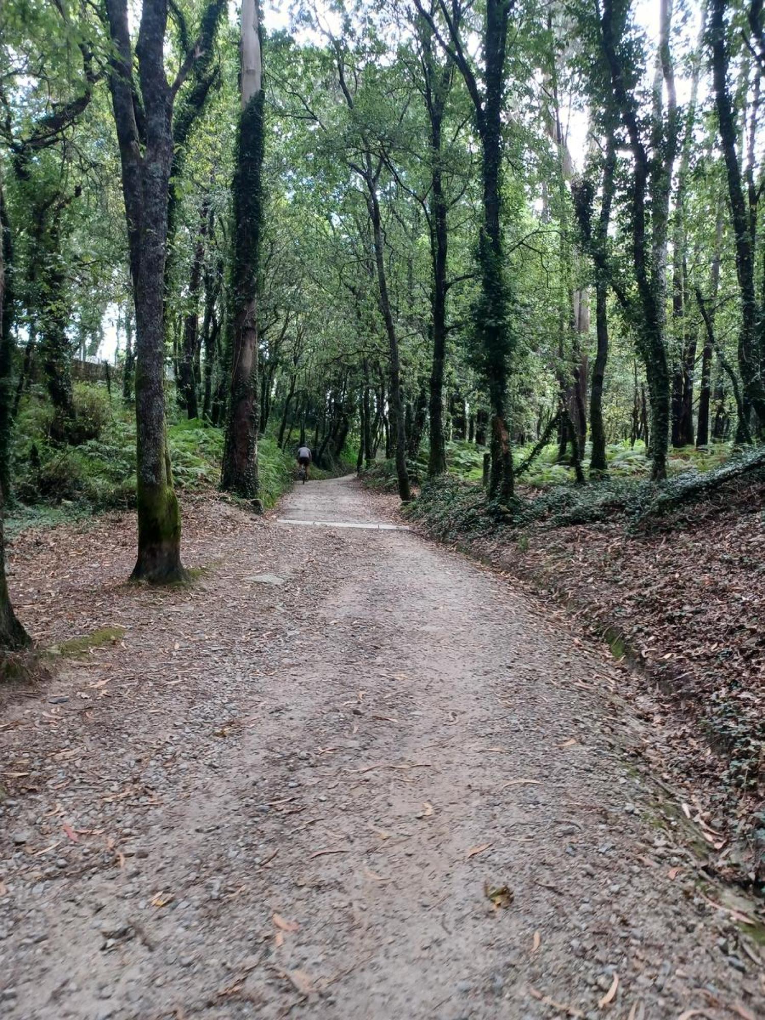  kaufen Grundstück Raíces Santiago 17