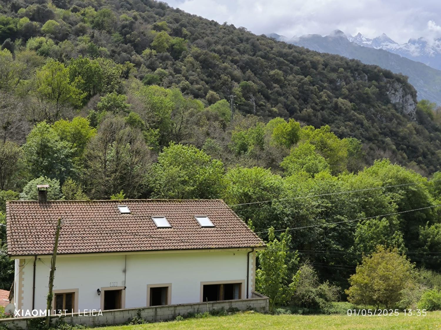 kaufen Reihenhaus Arangas Oriente 2