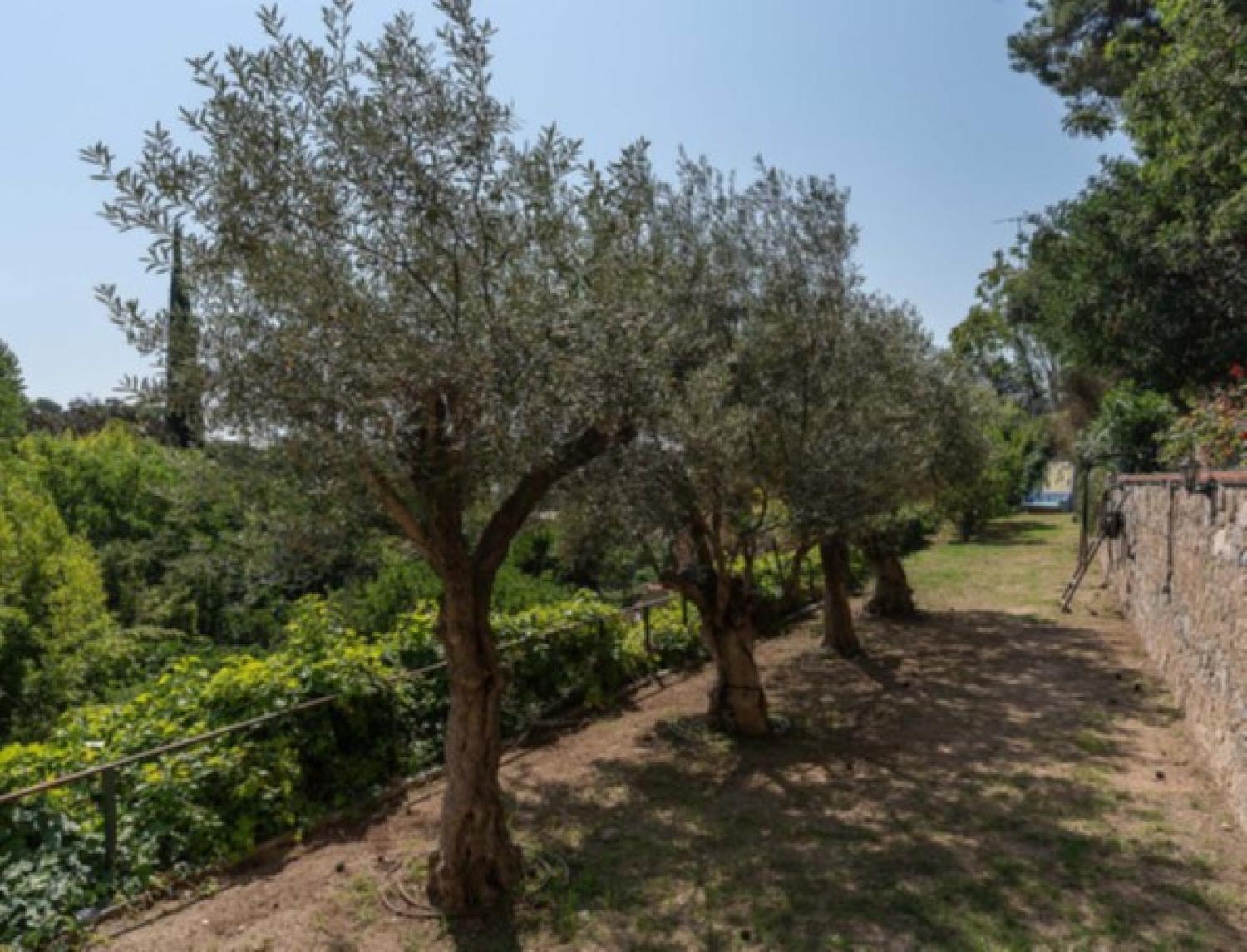  kaufen Herrenhaus Nucli Antic Maresme 41