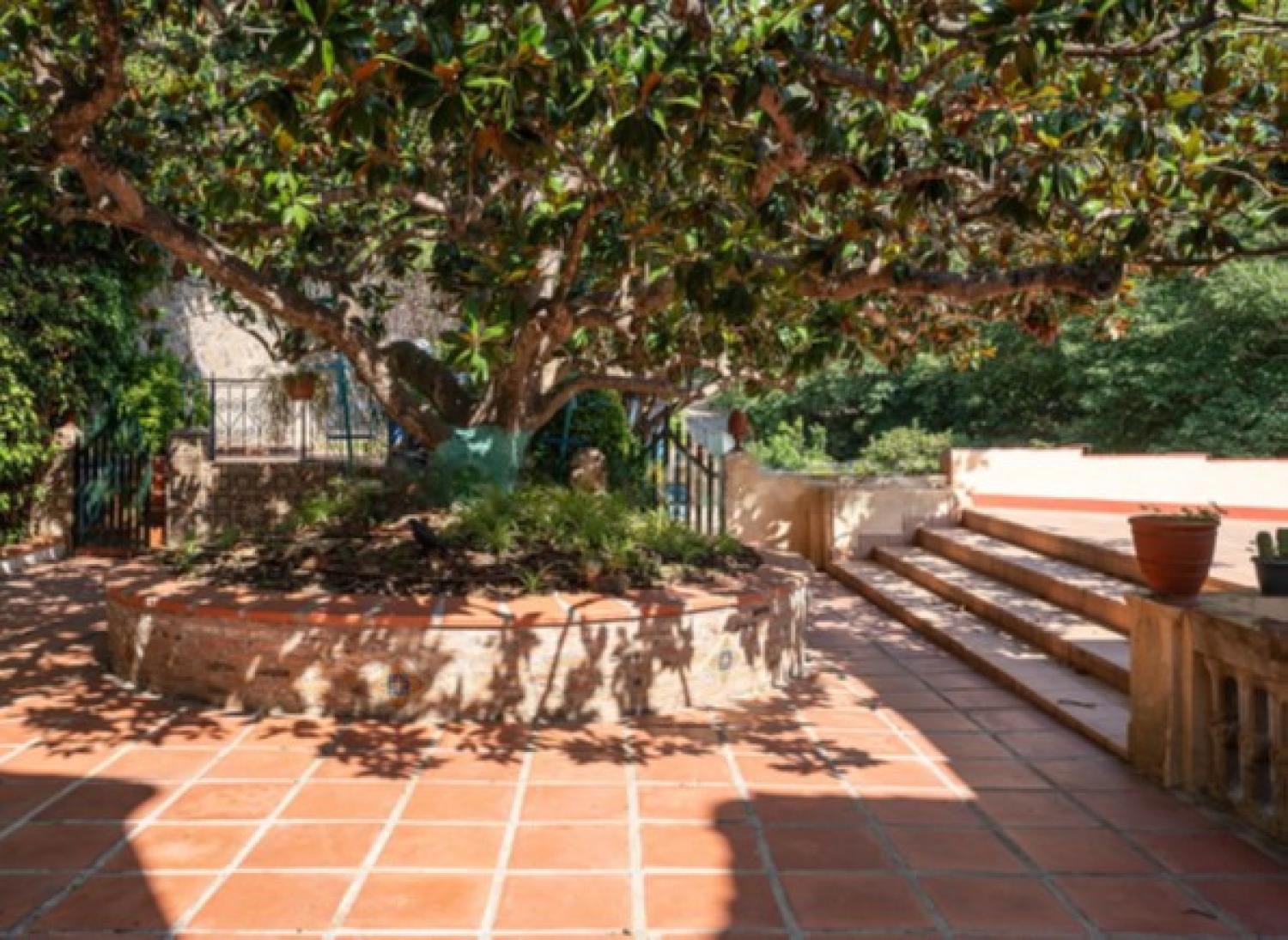  kaufen Herrenhaus Nucli Antic Maresme 37