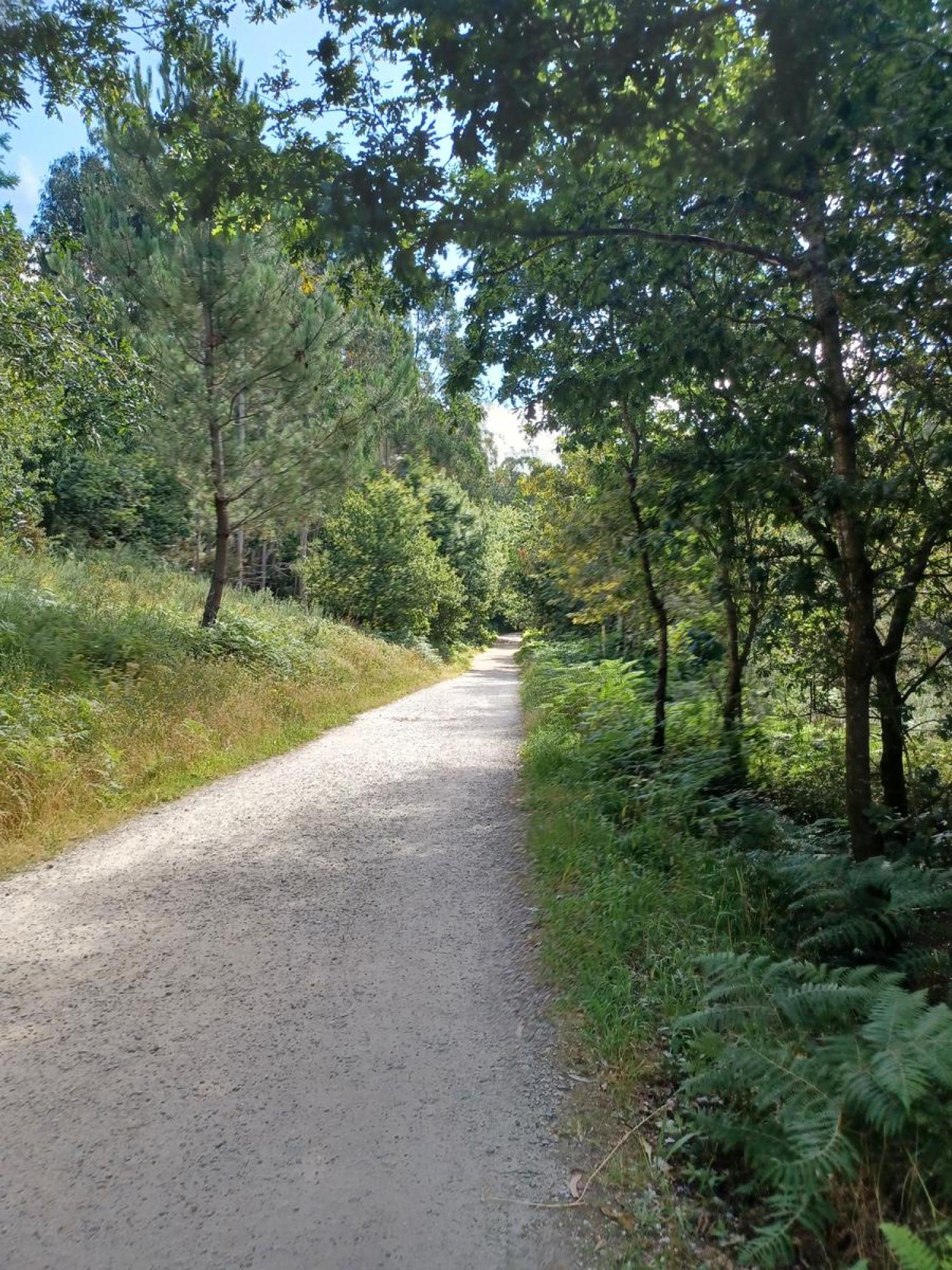  kaufen Grundstück Raíces Santiago 24