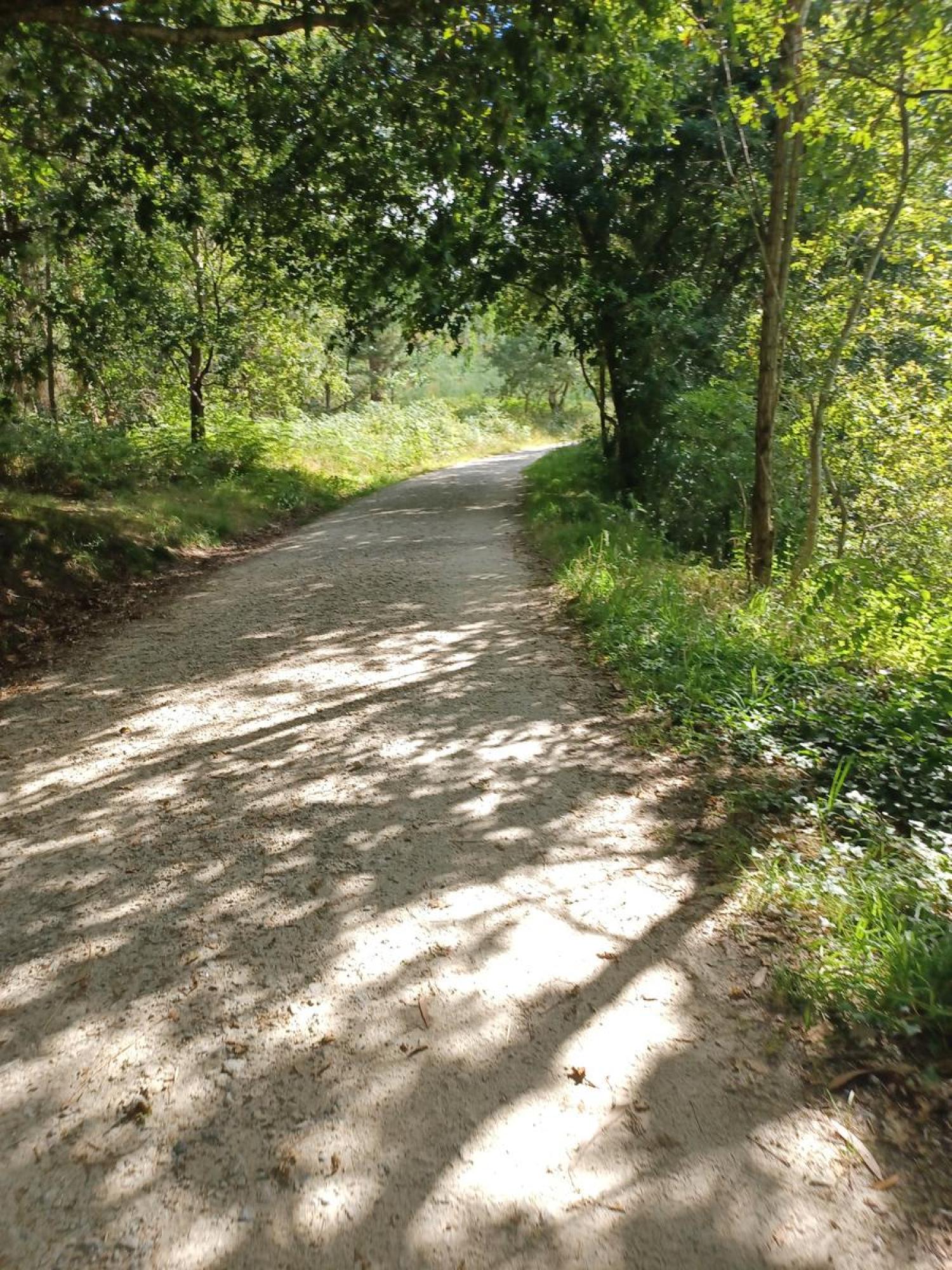  kaufen Grundstück Raíces Santiago 34